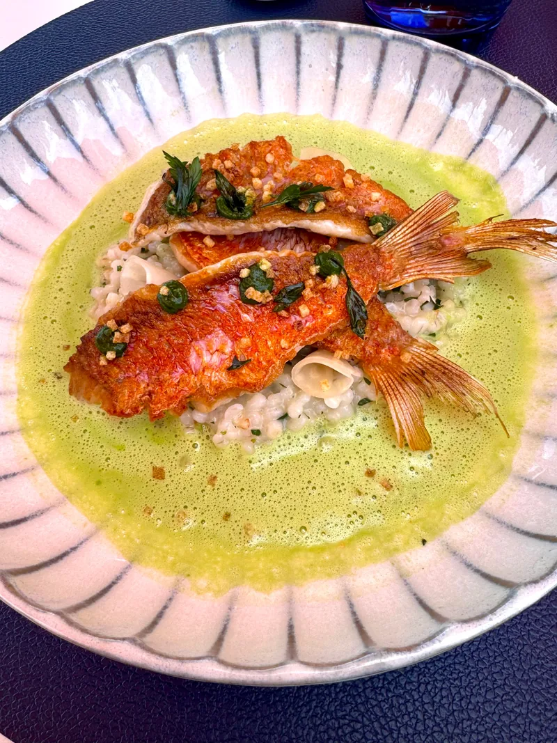 Rotbarbe auf Risotto mit grüner Sauce in der gerippten Schale