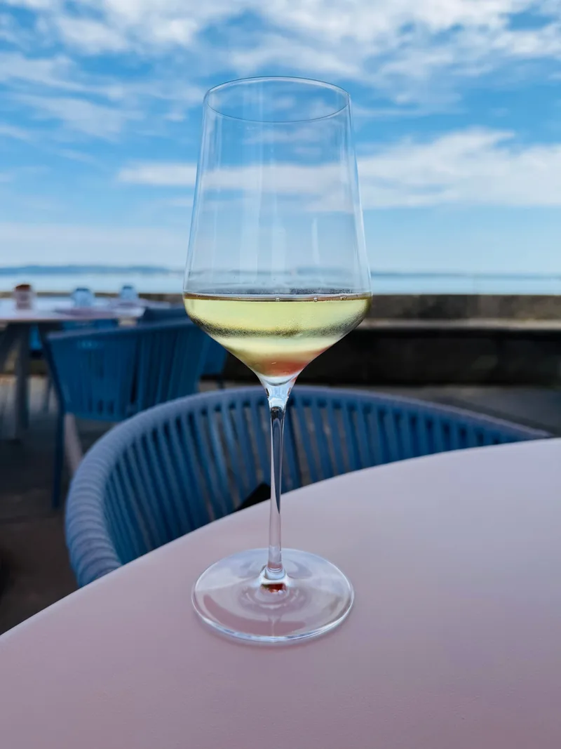 Ein Glas Weisswein auf dem Tisch der Terrasse, dahinter der See